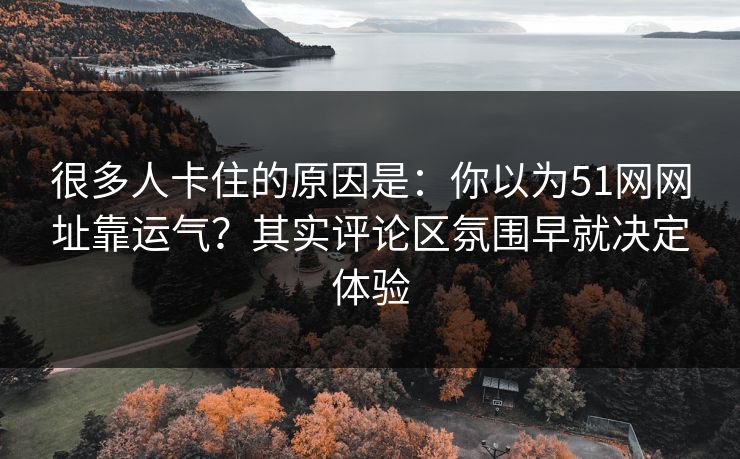 很多人卡住的原因是：你以为51网网址靠运气？其实评论区氛围早就决定体验