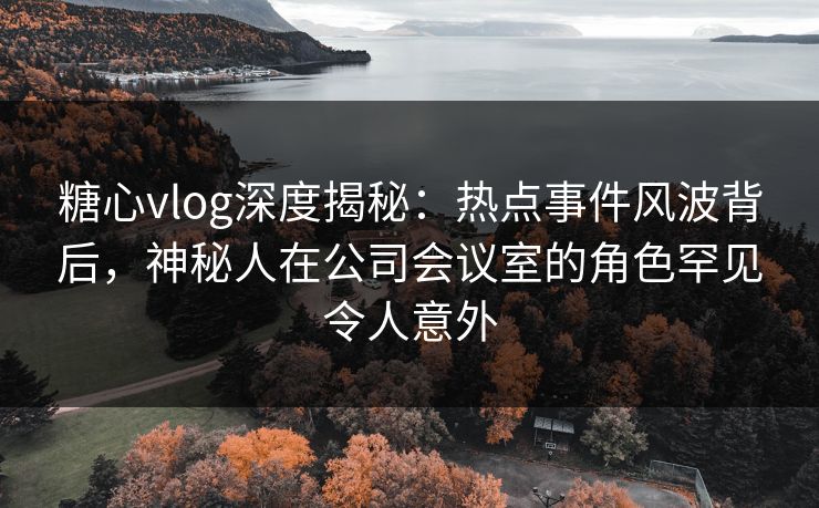 糖心vlog深度揭秘：热点事件风波背后，神秘人在公司会议室的角色罕见令人意外