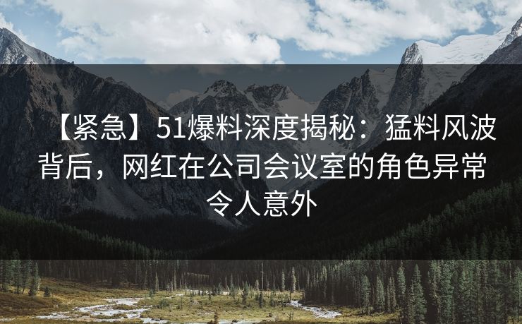 【紧急】51爆料深度揭秘：猛料风波背后，网红在公司会议室的角色异常令人意外